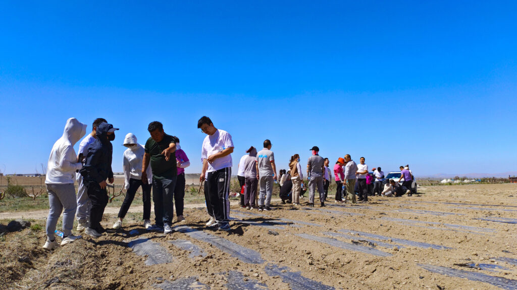 走进田园 播种希望|德赢VWIN物流春种团建活动