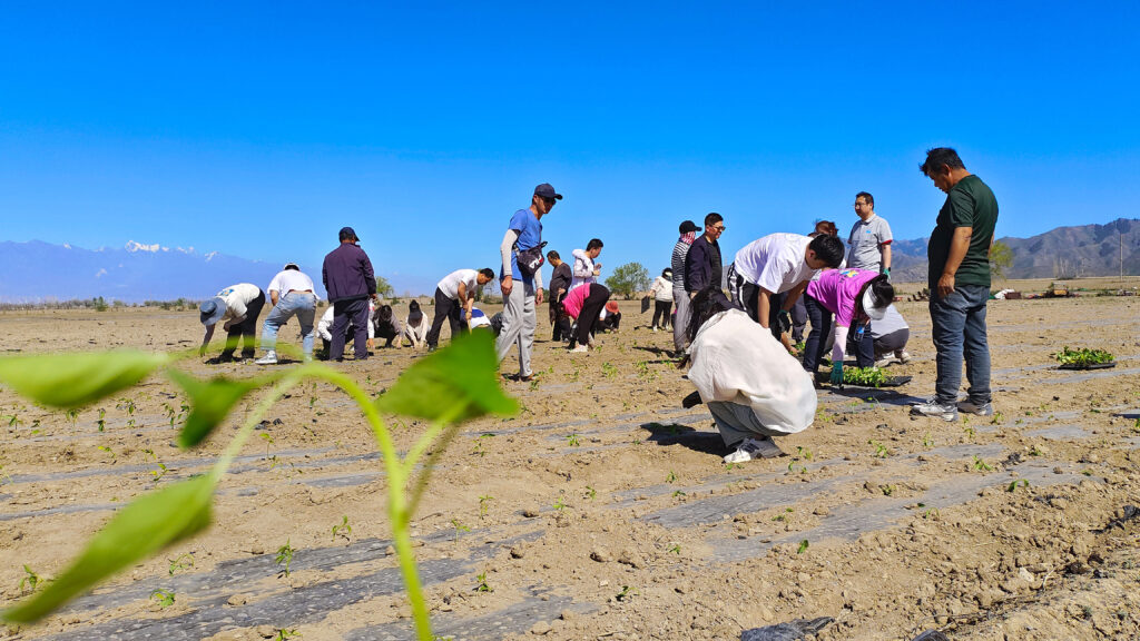 走进田园 播种希望|德赢VWIN物流春种团建活动