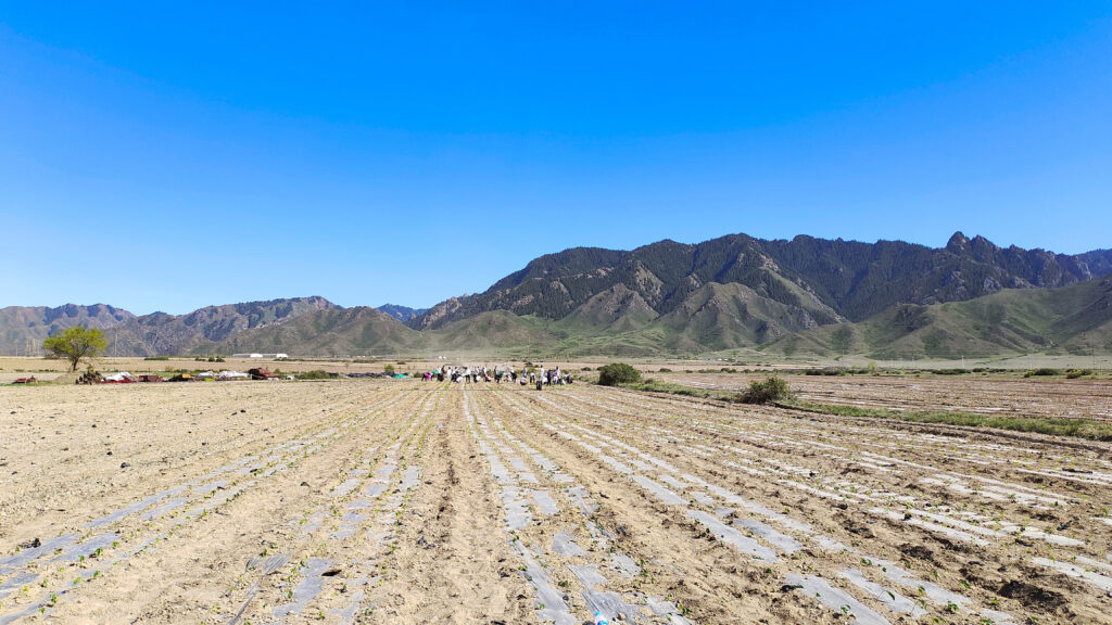 走进田园 播种希望|德赢VWIN物流春种团建活动