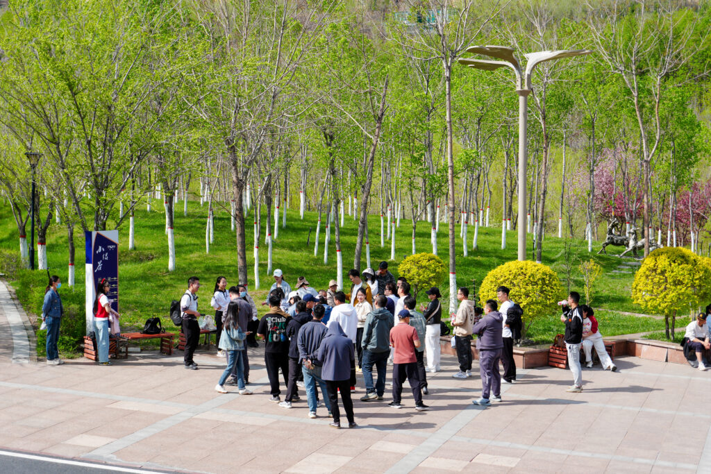 绿径同行·步筑新途 | 德赢VWIN物流团队徒步团建之旅