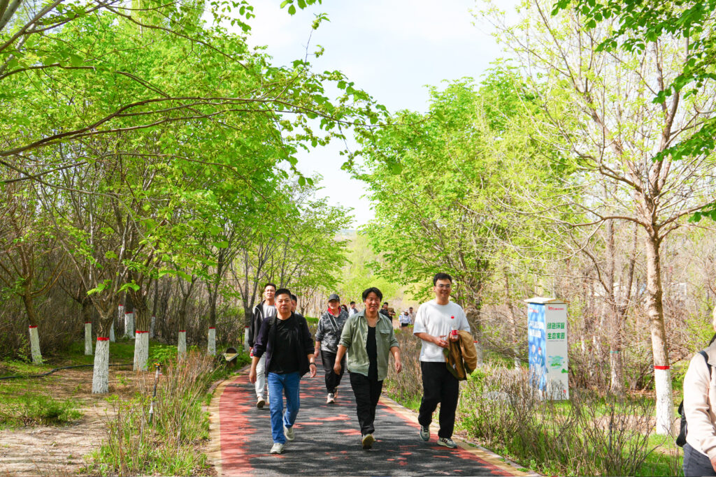 绿径同行·步筑新途 | 德赢VWIN物流团队徒步团建之旅