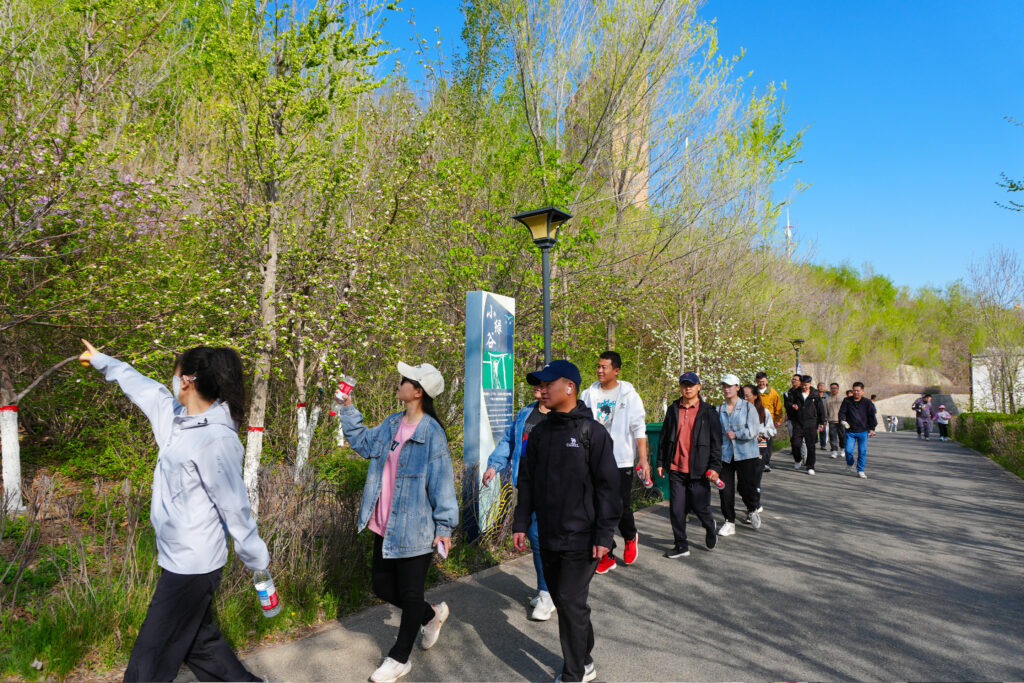 绿径同行·步筑新途 | 德赢VWIN物流团队徒步团建之旅